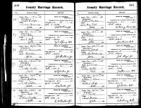 Tennessee State Marriages, 1780-2002: Hall History